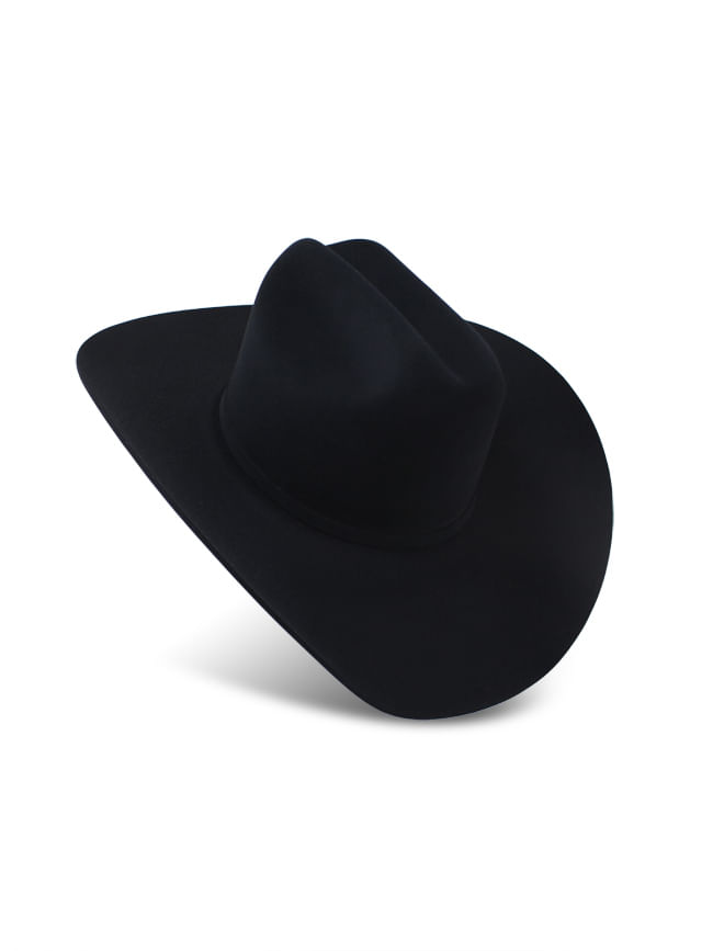 Resistol black gold 20x felt sales cowboy hat