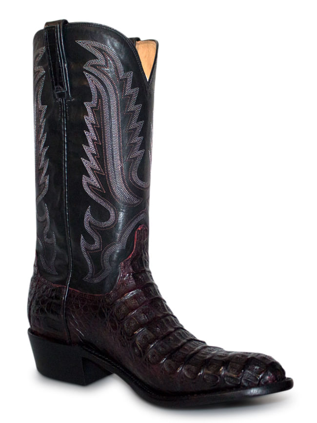 boots lucchese cocodrilo