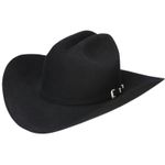 Stetson el cheap patron 30x black