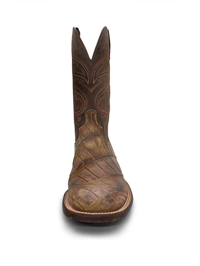giant gator lucchese
