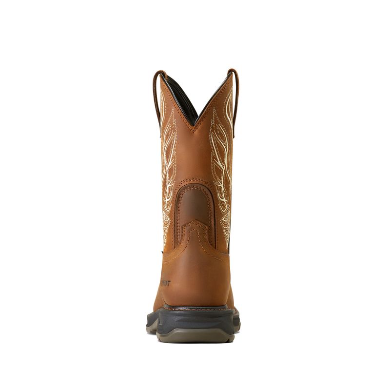 ariat phoenix